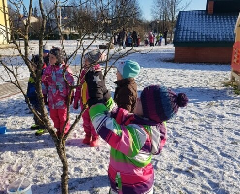 februāra sākums bērnudārzā