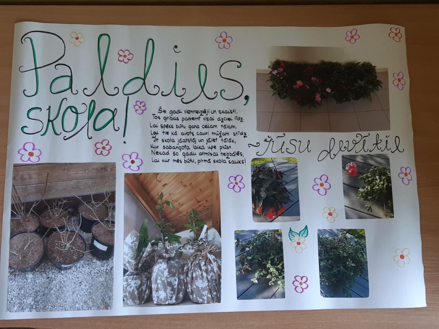 Paldies