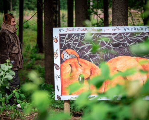 Informācija par mums Latvijas Nacionālā kultūras centra mājas lapā