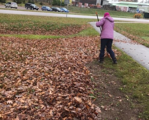 Rudens darbi