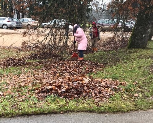 Rudens darbi