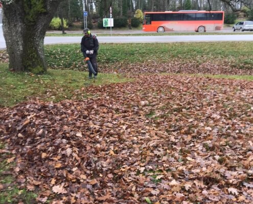 Rudens darbi