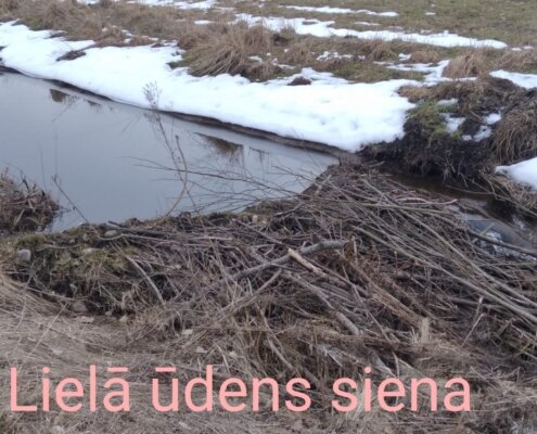 5.klases foto - Ūdens ir dzīvība