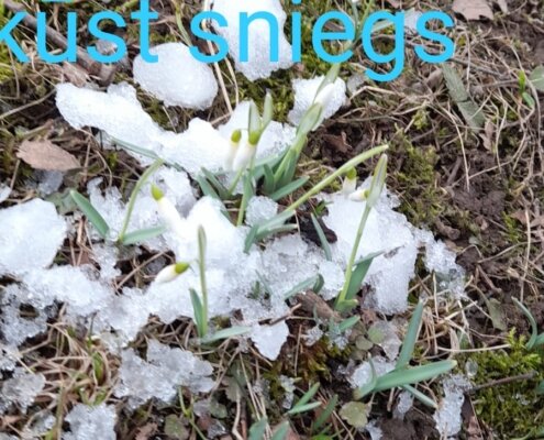 5.klases foto - Ūdens ir dzīvība