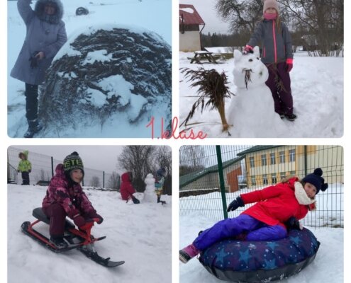 Diena bez IT