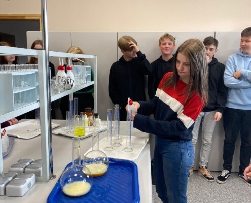 8klase -Ķīmija, latviešu valoda Sadzīves ķīmija manā ikdienā