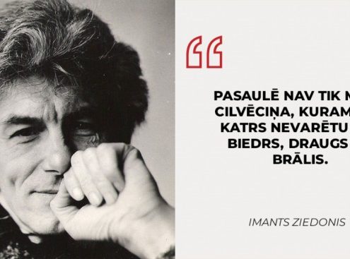 Zibakcija „Es esmu gabaliņš no skolas puzles”
