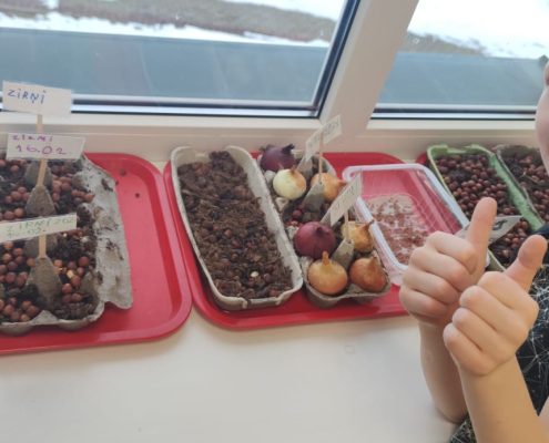 Kāpēc un tāpēc! (46)
