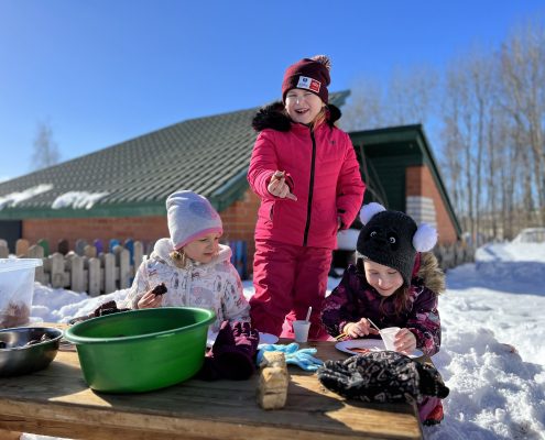 Sagaidām ciemiņus un braucam ciemos arī paši (1)