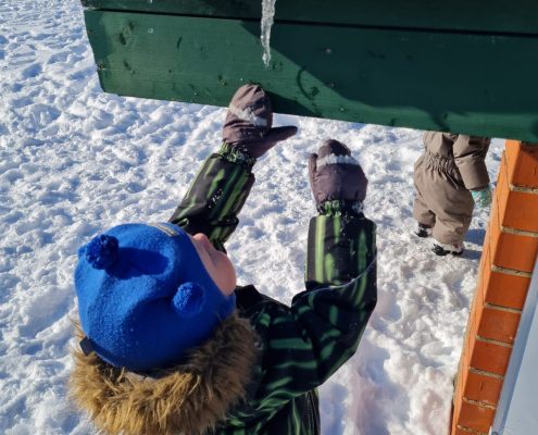 Sagaidām ciemiņus un braucam ciemos arī paši (13)
