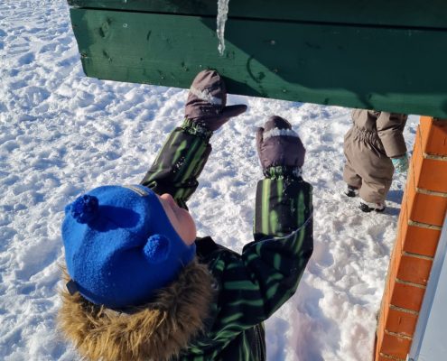 Sagaidām ciemiņus un braucam ciemos arī paši (13)