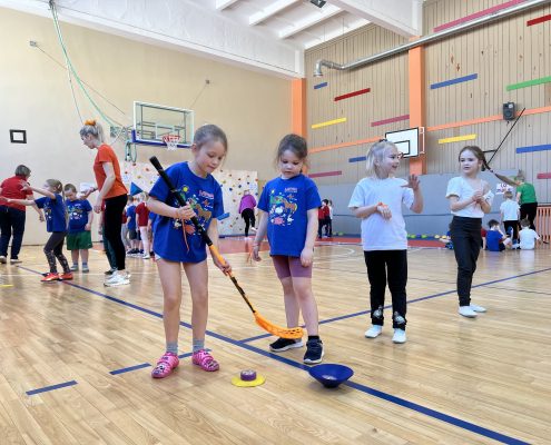 Sagaidām ciemiņus un braucam ciemos arī paši (5)