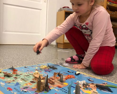 Sagaidām ciemiņus un braucam ciemos arī paši (51)