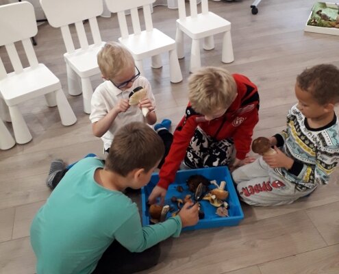Sēņu diena
