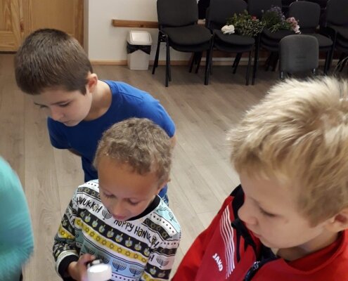 Sēņu diena