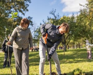 Vecpiebalgas VSK ābeļdārzs 29.09.2025-49