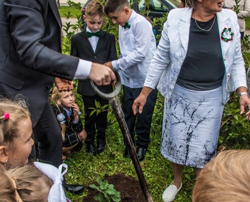 Prezidenta koki