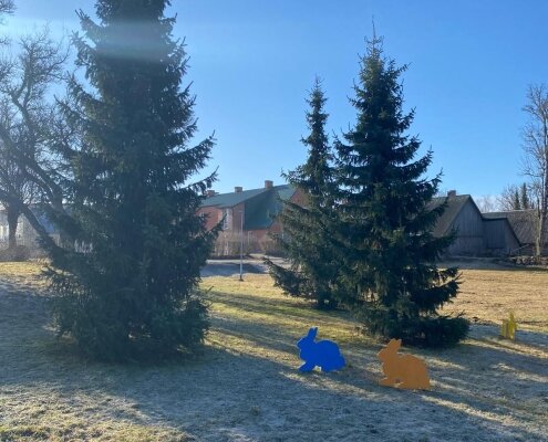 Prezidenta koki