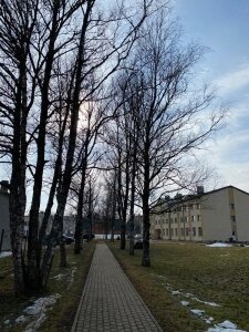 Bērziņi
