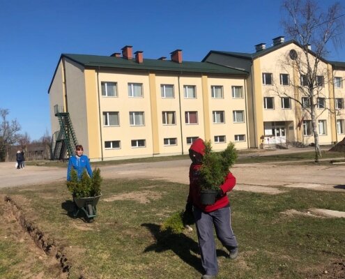 Pīlādžu aleja