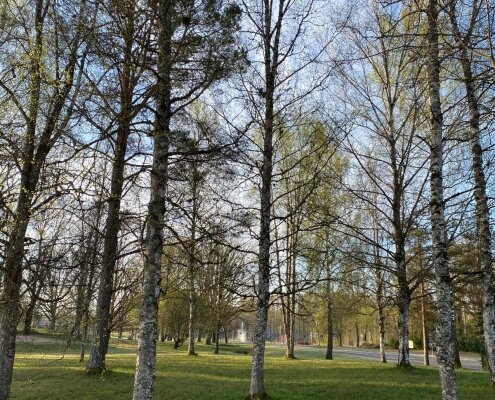 Piemiņas parks